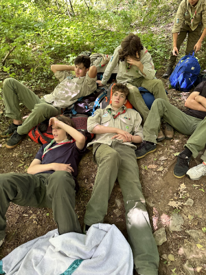 Sint-Martinus den XIIde - Grootkamp VK